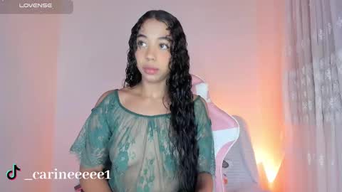 camil online show from January 7, 2025, 12:31 pm