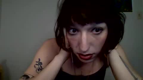 sweet_harvey online show from April 10, 2026, 12:38 am