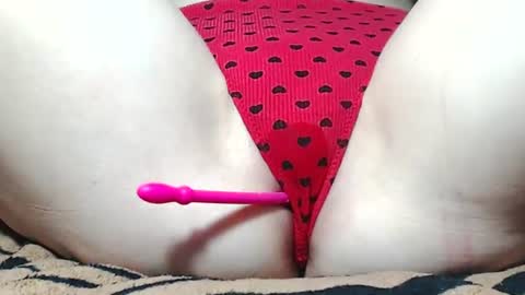 Kitten online show from June 17, 2026, 5:54 am