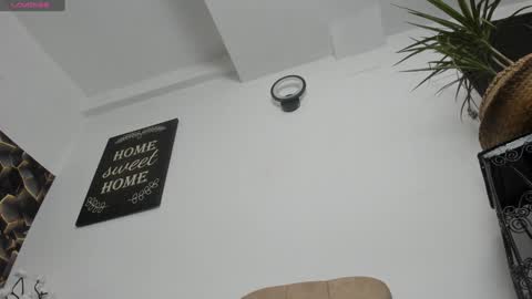 Alesy online show from December 16, 2024, 9:46 am