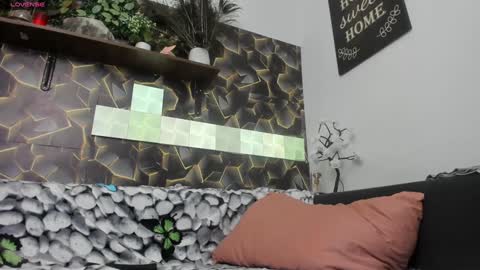 Alesy online show from December 17, 2024, 11:06 am