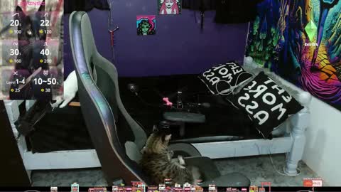 elizabeth grey online show from September 20, 2025, 11:28 pm