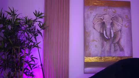 Lilly online show from October 4, 2025, 8:45 am