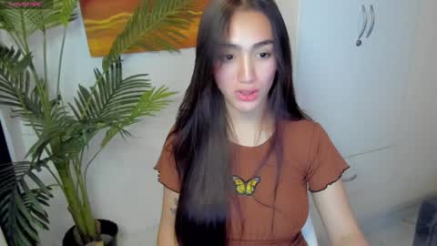 mallow online show from January 3, 2025, 1:03 pm