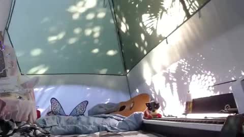 April online show from November 21, 2025, 4:16 pm