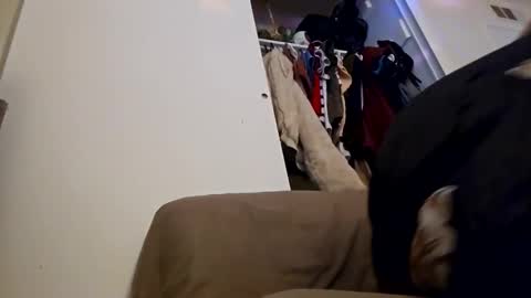 Snapshot of sweetp3ach29 chatting on December 16, 2024, 6:53 am sweetp3ach29 online show from December 16, 2024, 6:53 am