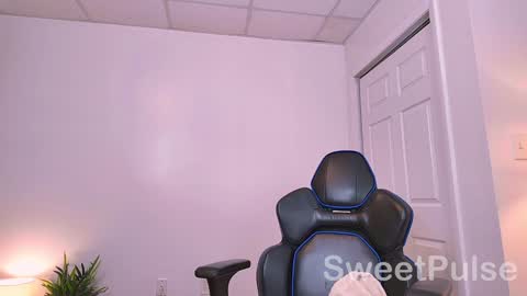 Snapshot of sweetpulse_ chatting on December 23, 2024, 10:12 pm Rose online show from December 23, 2024, 10:12 pm