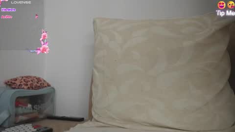 Hello Welcome Im here from WEDNESDAY to SUNDAY 430am to  830am and 3  to 7  timeMONDAY and TUESDAY i rest online show from March 27, 2026, 9:21 am