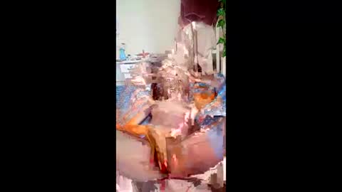 SweetSpot online show from March 24, 2026, 10:42 am