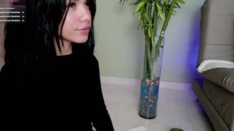    online show from February 8, 2025, 11:13 pm