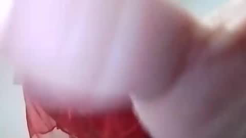 sweetwendi15 online show from February 8, 2025, 2:04 am