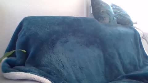 swissride online show from February 27, 2025, 1:38 pm