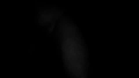 Snapshot of swollpole2112 chatting on March 10, 2026, 5:01 am swollpole2112 online show from March 10, 2026, 5:01 am