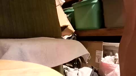 syevecrl online show from January 14, 2026, 7:47 am