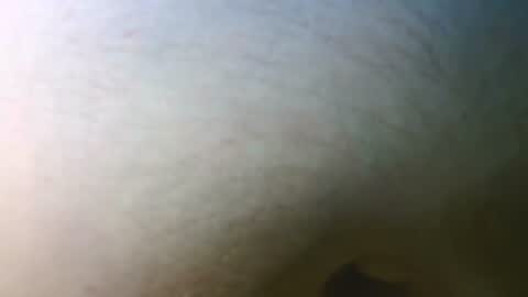 syrius57920 online show from November 7, 2025, 5:13 pm