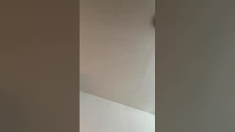 t954127 online show from March 27, 2026, 8:26 am