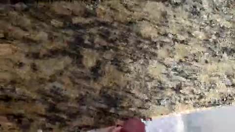 Canon online show from March 2, 2026, 4:47 pm