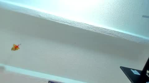 Snapshot of tafari_1 chatting on April 30, 2026, 11:05 am Tafari Zulu online show from April 30, 2026, 11:05 am