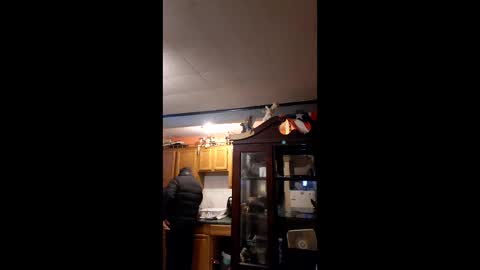 taliban809 online show from February 6, 2026, 11:46 am