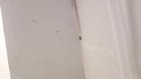 tall6feet7inch online show from December 18, 2025, 7:36 am