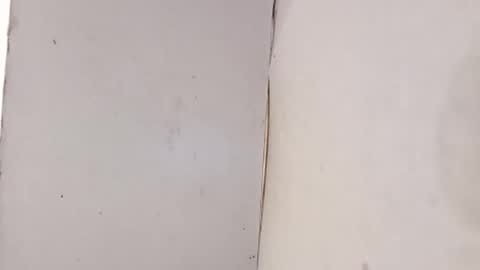 tall6feet7inch online show from February 1, 2026, 10:08 pm