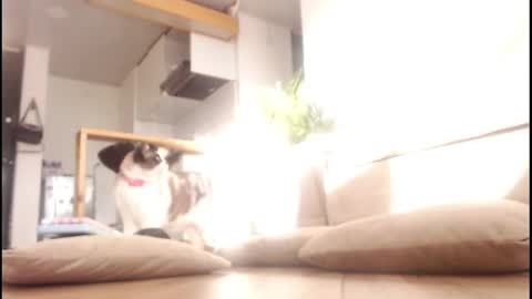 Snapshot of tamara_daniels chatting on September 14, 2025, 9:58 pm Tamara online show from September 14, 2025, 9:58 pm