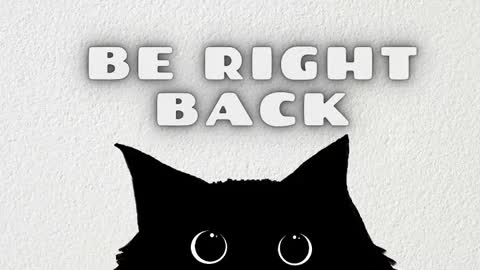 Rousaly online show from January 13, 2026, 11:37 am