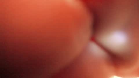 Tamara. online show from September 10, 2025, 6:24 am