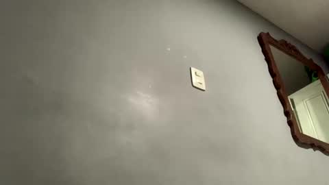 tarren_boys online show from December 31, 2024, 5:11 am