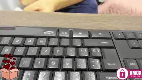 Snapshot of tatiana_vegha chatting on July 2, 2026, 12:33 pm i am tatiana online show from July 2, 2026, 12:33 pm