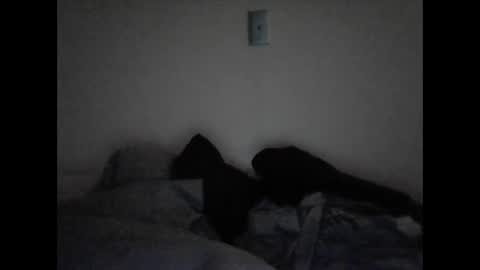 tattedpanther online show from December 3, 2024, 4:39 pm