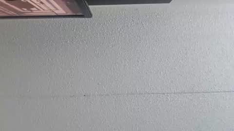 Inkedup online show from December 22, 2024, 3:33 am