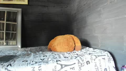  T A U R U S  online show from January 17, 2025, 6:02 pm