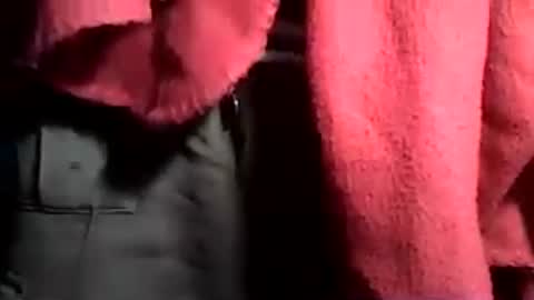 taylor3made online show from June 21, 2026, 2:58 am