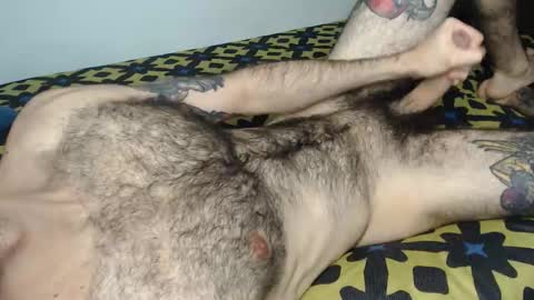 Taylor online show from January 17, 2026, 3:39 pm