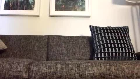 Tbiz82 online show from March 21, 2026, 4:17 am