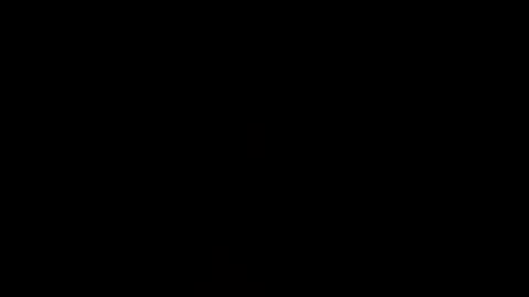 tbonehomer online show from April 12, 2026, 4:50 am