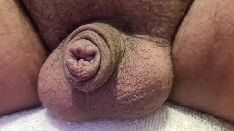 Luis online show from October 14, 2025, 12:22 am