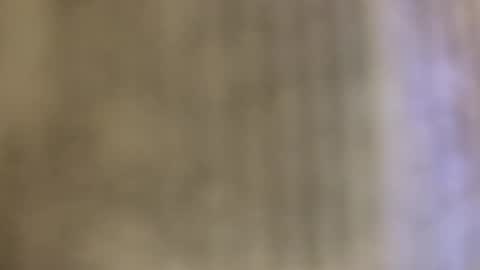 Luis online show from October 24, 2025, 12:30 am