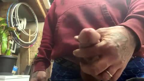 teet69 online show from February 20, 2026, 11:38 pm