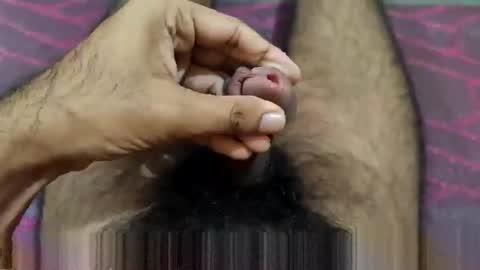 telugu_dick_hyd online show from February 7, 2026, 9:24 am