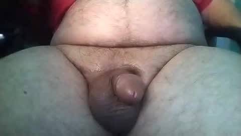 Templargeor online show from February 3, 2025, 3:09 am