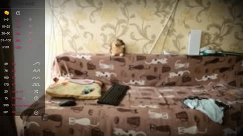 Ada  online show from January 10, 2026, 1:24 pm