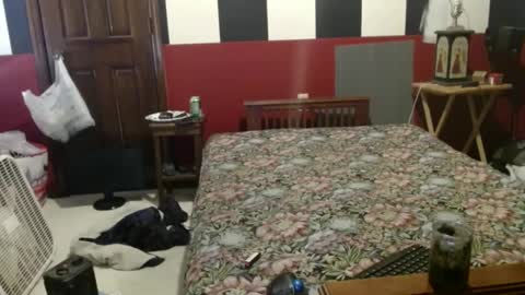 terdy2366 online show from December 4, 2024, 8:07 pm