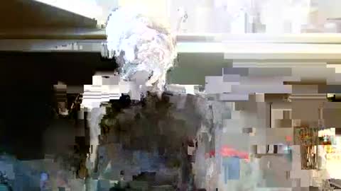 terdy2366 online show from October 7, 2025, 3:25 am