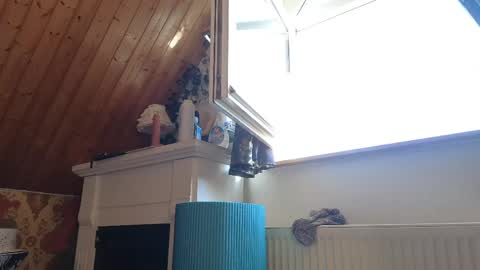 Tessa online show from April 26, 2026, 2:04 pm