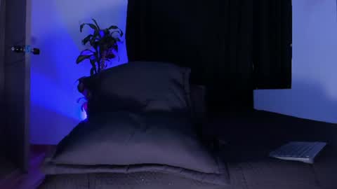thadeo_king online show from June 30, 2026, 1:17 am