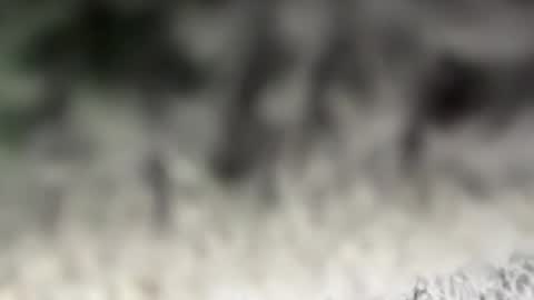 thankyoudaddy1 online show from March 15, 2026, 7:36 am