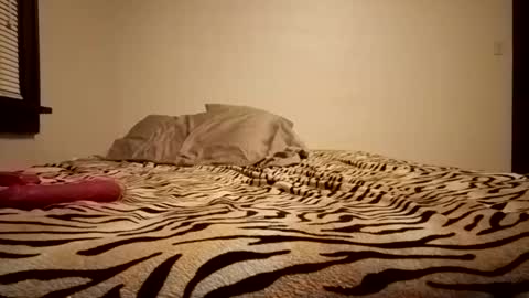 Snapshot of thatman1997655 chatting on November 11, 2025, 4:12 am thatman1997655 online show from November 11, 2025, 4:12 am