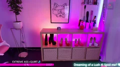 i am Cat  online show from May 19, 2026, 6:36 pm